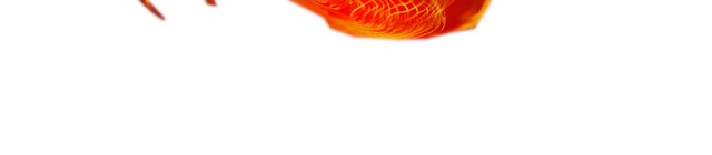 龙