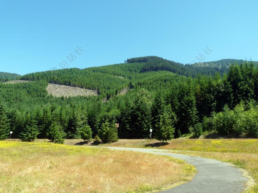 山景 木材 太阳 天空 东北视图 中央华盛顿