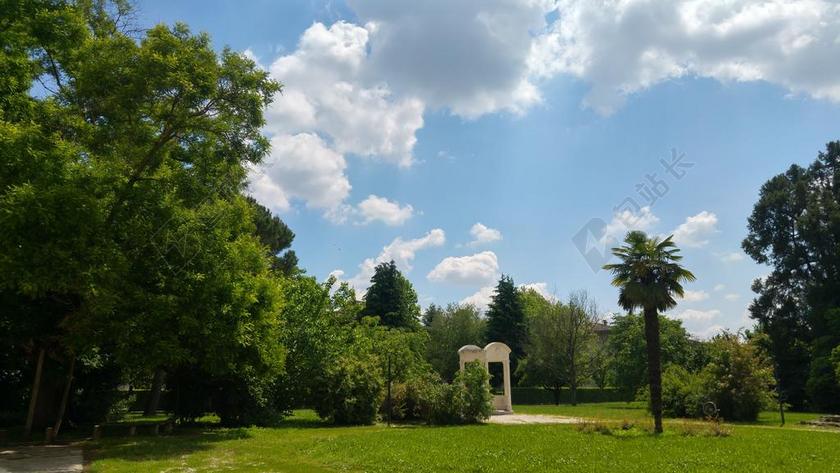 公园 性质 绿色 树 意大利 每天光 天空 春 普拉托