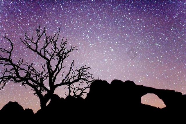自然景观枯树和岩石和星空背景图片