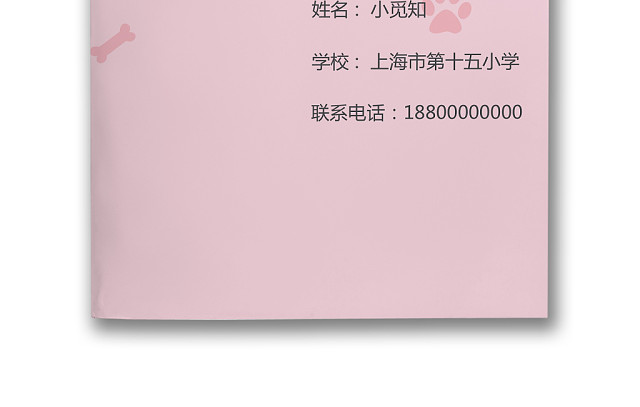 小升初简历文档模板