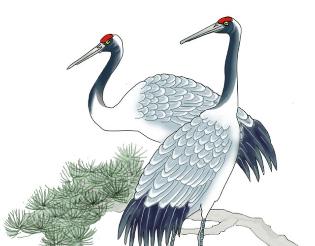 手绘鸟类仙鹤中国风插画素材