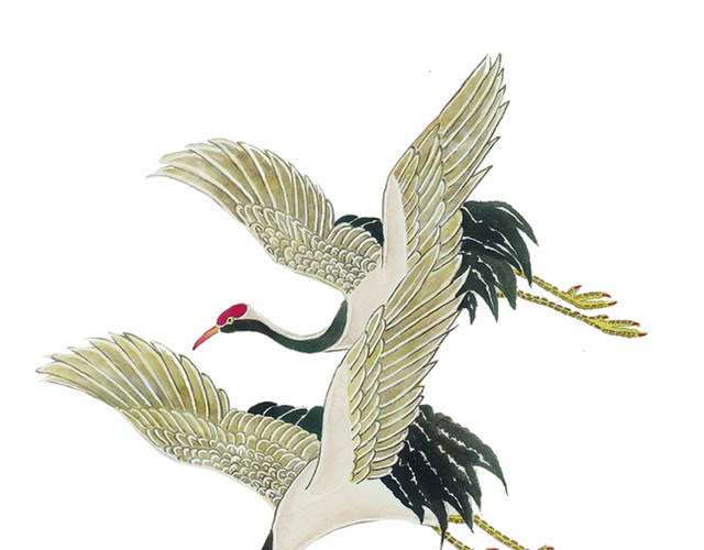 手绘鸟类仙鹤中国风插画素材