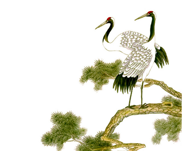 手绘鸟类仙鹤插画素材