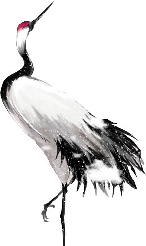 彩色手绘鸟类仙鹤插画素材