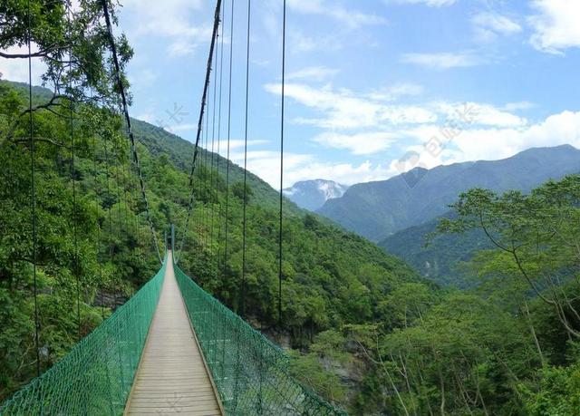 景点景观绿色山中树林森林吊桥背景图片