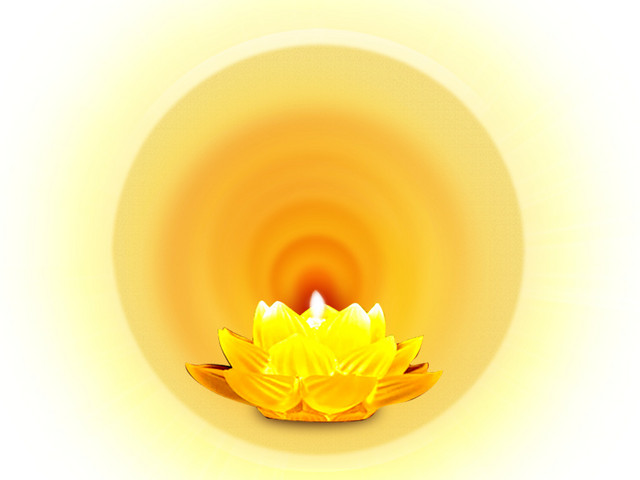 莲花