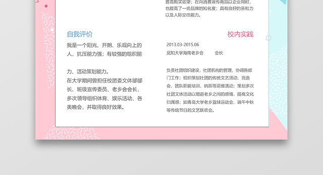 时尚风格销售经理求职简历WORD简历模板