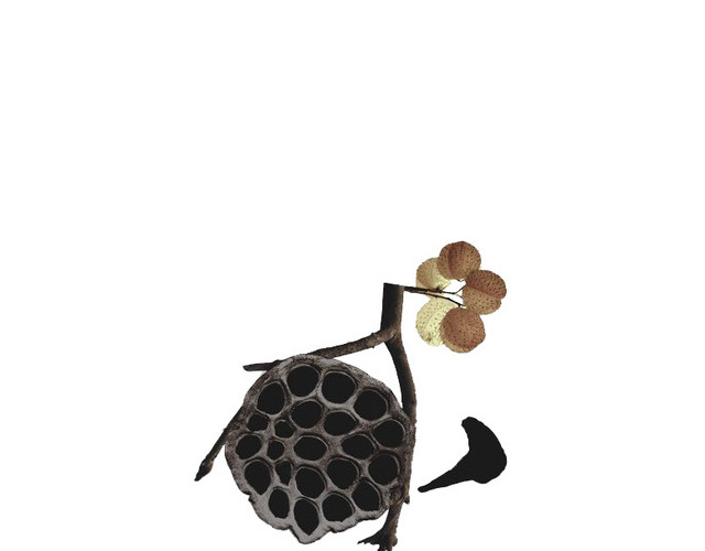 莲蓬