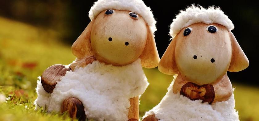 羊 德卡 陶瓷 可爱 数字 毛绒玩具 羊毛 面对 有蹄类动物