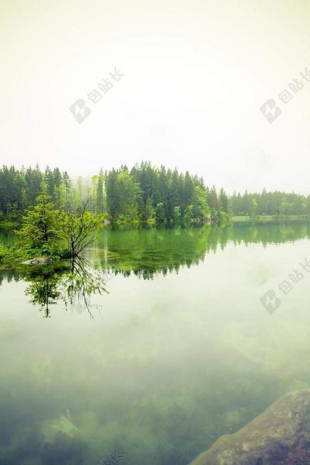 绿色景观自然清新湖水船上树森林背景图片