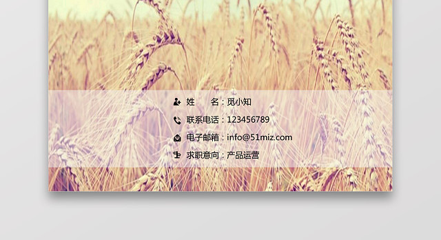 产品运营求职个人简历