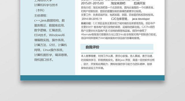 JAVA时尚创意简约开发工程师个人简历模板