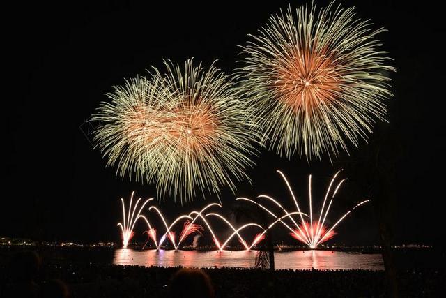 烟花爆竹 火箭 夜 天空 西尔维斯特