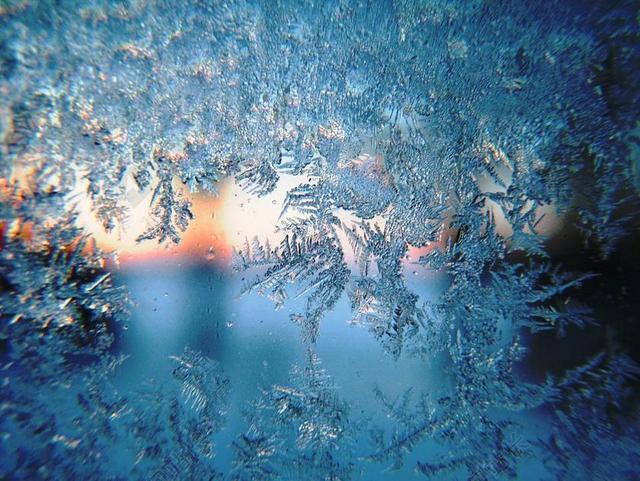 霜 冬天 上午 雪 季节 白 度假 圣诞节 新 一年