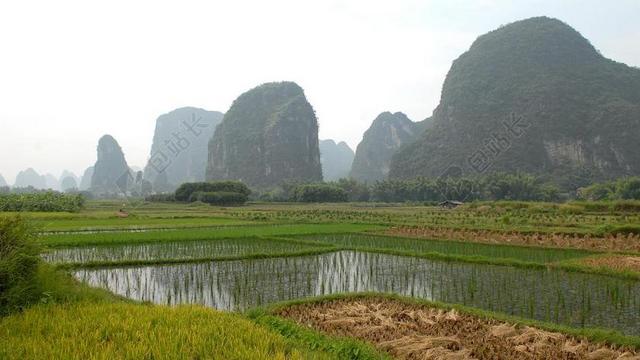 中国 阳朔 景观 农业 稻田