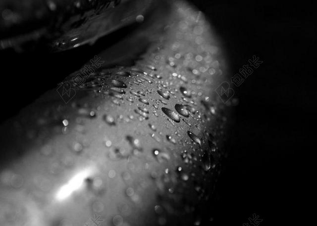 黑色和白色 抽象 雨 滴 黑 白 水 雨滴 发现 液体