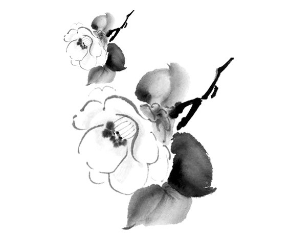墨色桃花