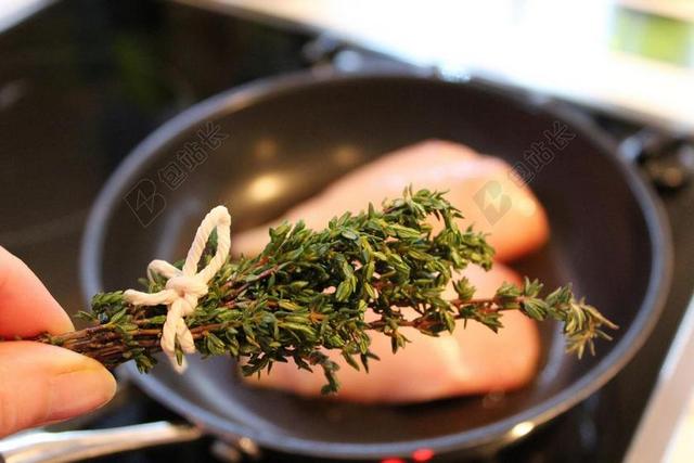 食物人手中的香草背景图片
