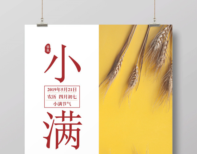 白色简约二十四节气小满宣传海报