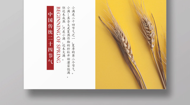白色简约二十四节气小满宣传海报