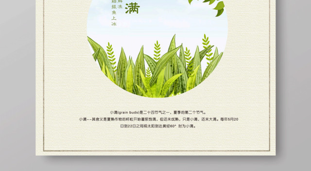 简约二十四节气小满节气海报