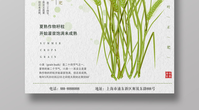小满灌浆饱满未成熟传统节日古风简约宣传海报