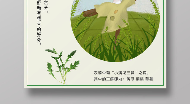 小满二十四节气稻草人养生宣传海报