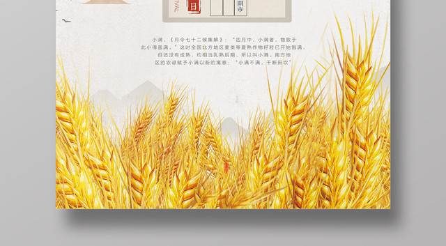 小满中国传统节日节气黄色小满简约宣传海报