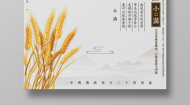 小满传统中国节气简约中国风海报