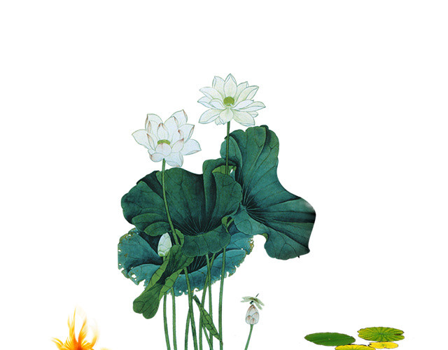 彩墨荷花鲤鱼图