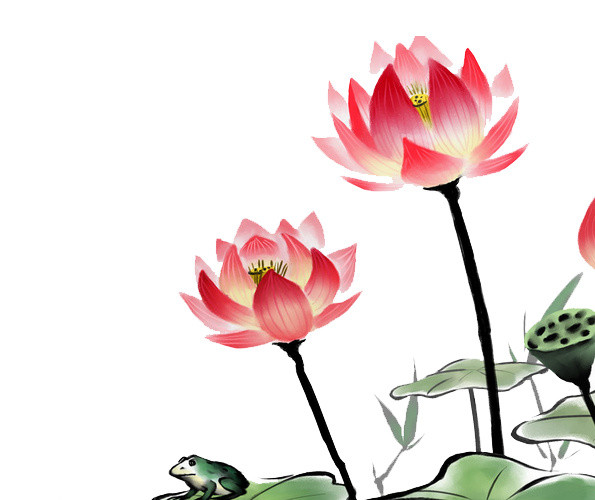 荷花池塘
