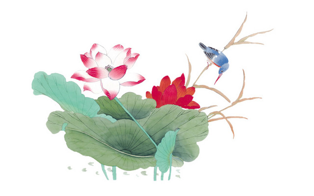 荷花花鸟图