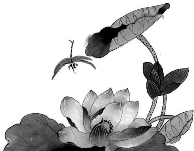 墨色荷花蜻蜓图