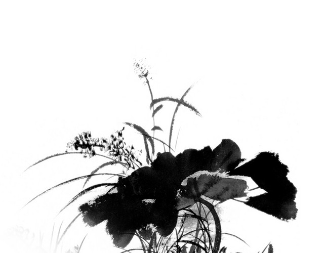 墨色荷花