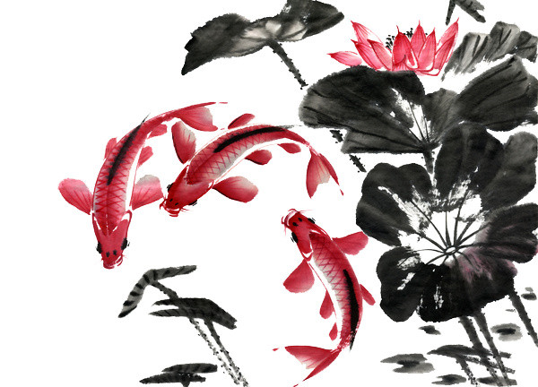 中国画鲤鱼荷花图