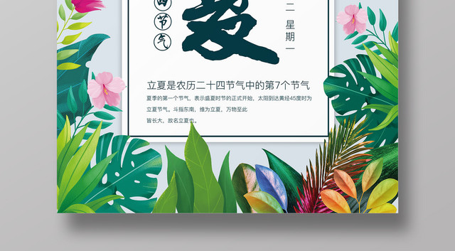 二十四节气立夏传统节日简约花簇清新宣传海报