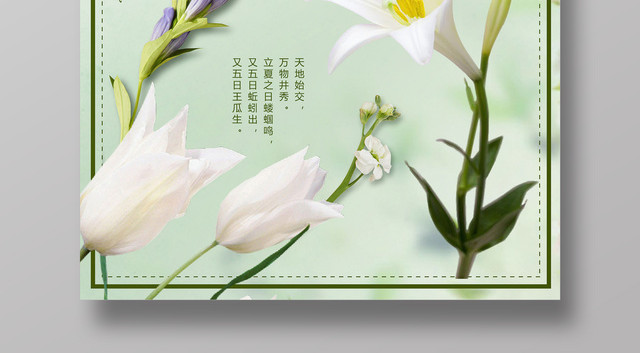 二十四节气立夏中国传统节日绿色清新宣传海报