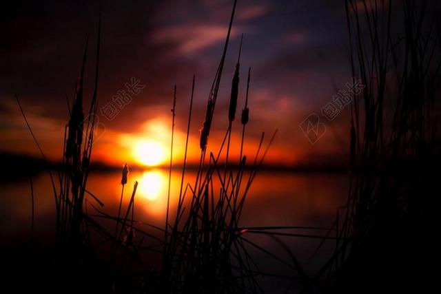 风景景色拍摄技巧湖边日落夜晚芦苇远方夕阳模糊焦距背景图片