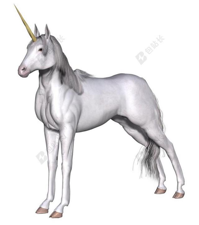 白色卡通形象传说幻想独角兽设定画像背景图片