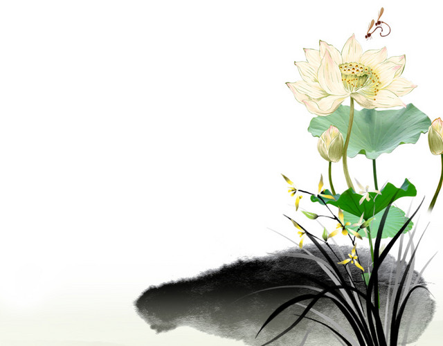 荷花