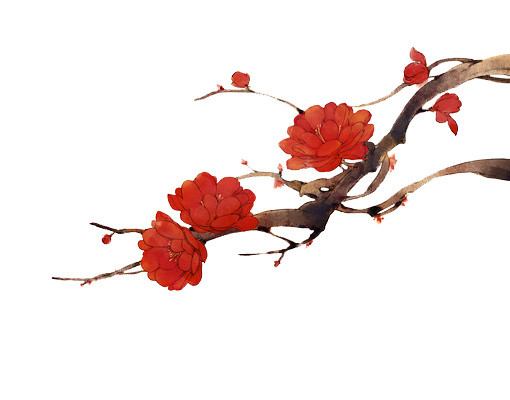 典雅中国风海棠花红梅素材
