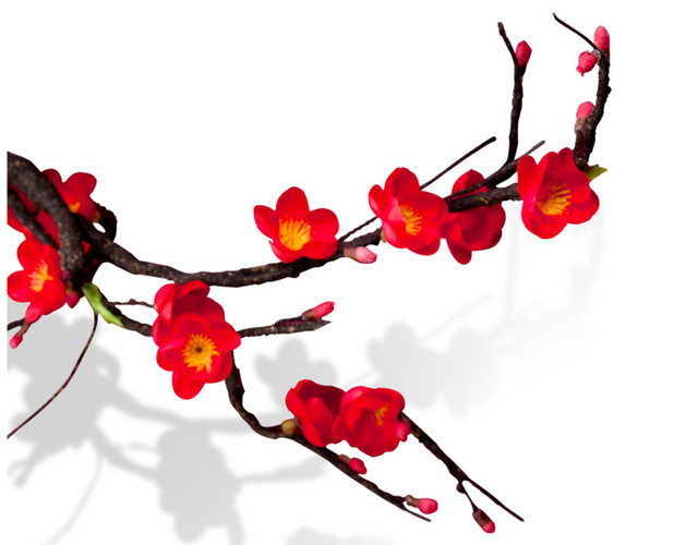 典雅中国风艳丽红梅盛开背景素材