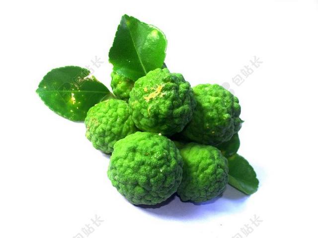 佛手柑 水果 叶 孤立 泰国 粗 柠檬 自然 热带 绿色