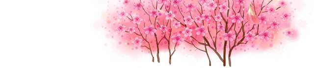 花朵花瓣日本樱花装饰素材