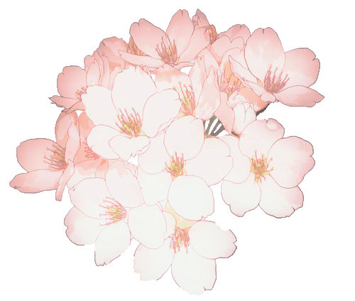 花朵花瓣装饰素材