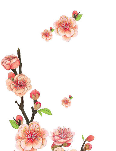 花朵花瓣装饰素材
