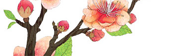 花朵花瓣装饰素材