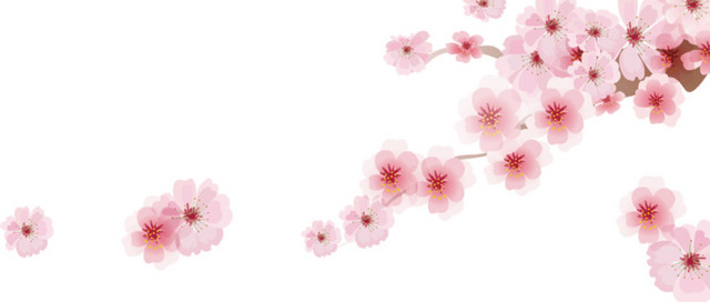 花朵花瓣装饰素材