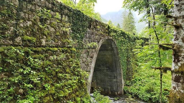 景观建筑野外乡村 桥梁石砖桥洞青苔爬山虎背景图片